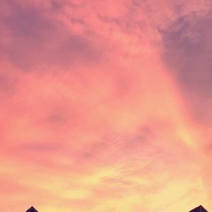 Meet your Posher, Jade